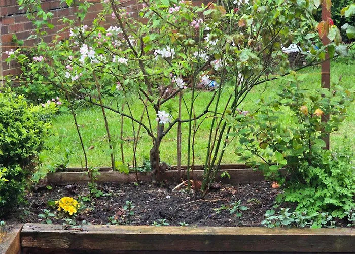 2 Bedroom Cozy Chambers With Free Parking Apartment