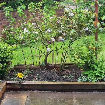 2 Bedroom Cozy Chambers With Free Parking Апартаменти